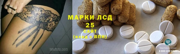 прущие грибы Абинск