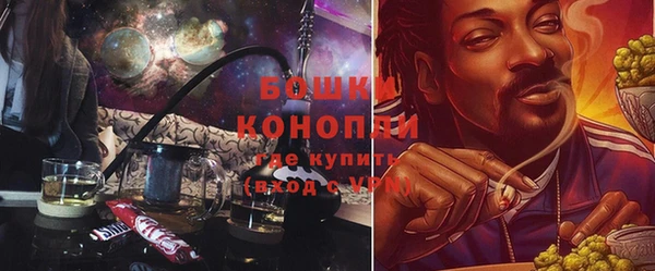 прущие грибы Абинск