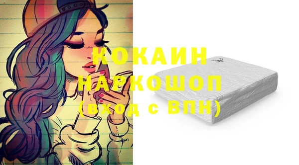 прущие грибы Абинск