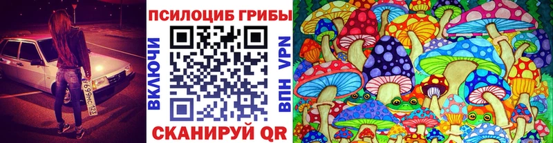 Псилоцибиновые грибы прущие грибы закладки Серпухов